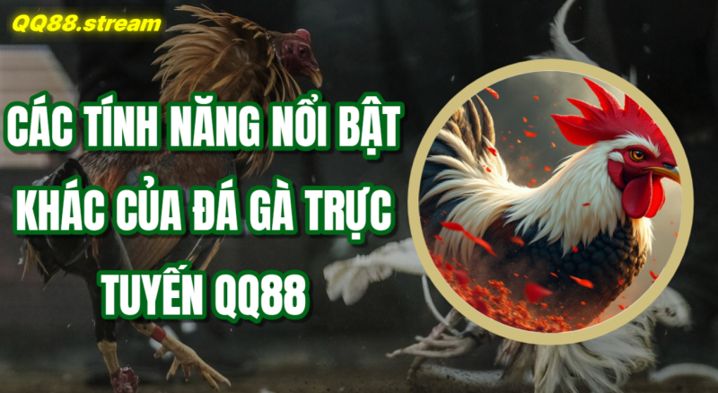 Đá gà trực tuyến QQ88 - Trải nghiệm cược hấp dẫn và thú vị 3 Các tính năng nổi bật khác của đá gà trực tuyến QQ88